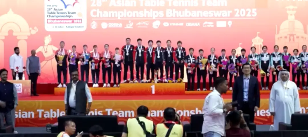 不出, 似乎不太可, 杀个回马枪